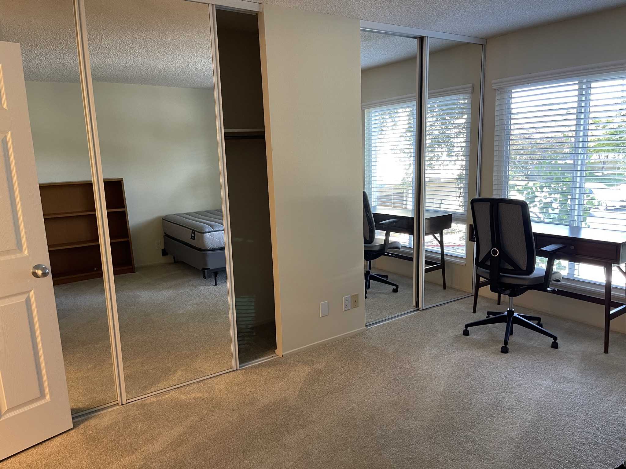 Kitchen deep cleaning - stove and microwave